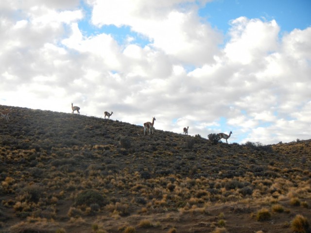 Perito Moreno (1)