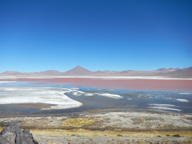 Salar de Uyuni (14) Laguna Colorada