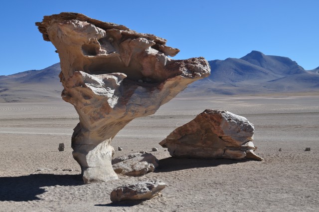 Salar de Uyuni (16) Arbol de Piedra