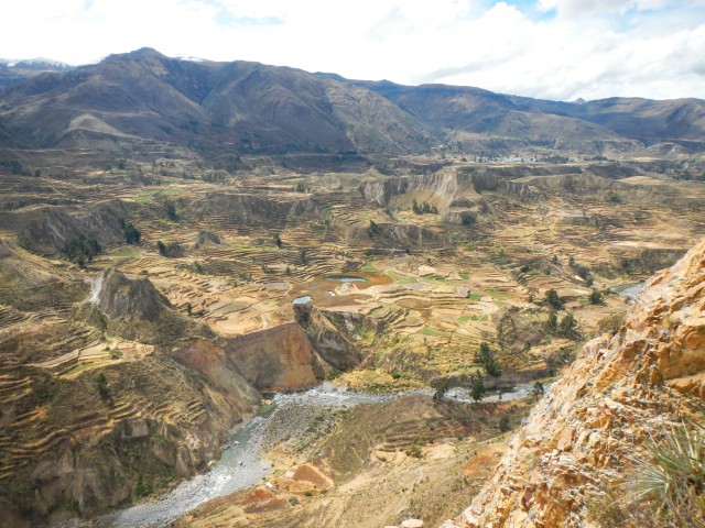 Colca Canyon (15)