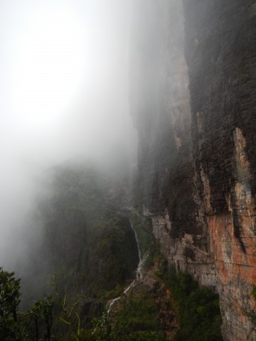 Roraima (11) Door de Waterval