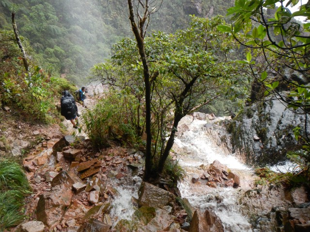 Roraima (34) Terug door de Waterval