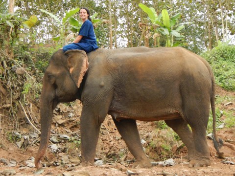 Tineke op de olifant