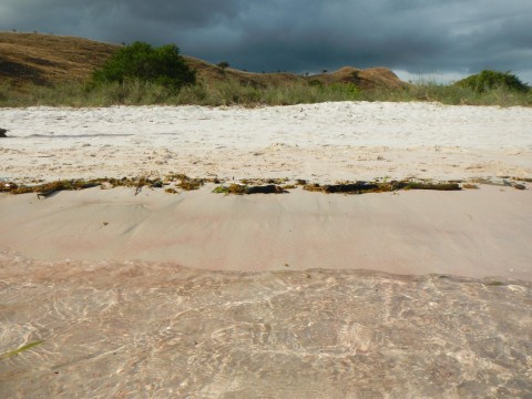 Pink beach